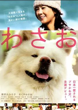 秋田犬蓬夫 2011